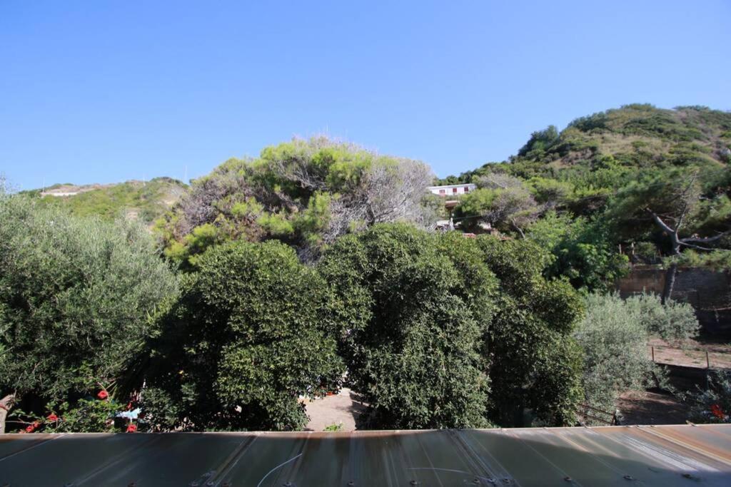 Villa Il Giglio Di Mare San Saba Exterior foto